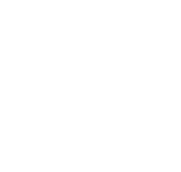 20+ Years of Expertise